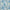 Cornflower - Andora By ILIV || Material World