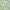 Seafoam - Andora By ILIV || Material World