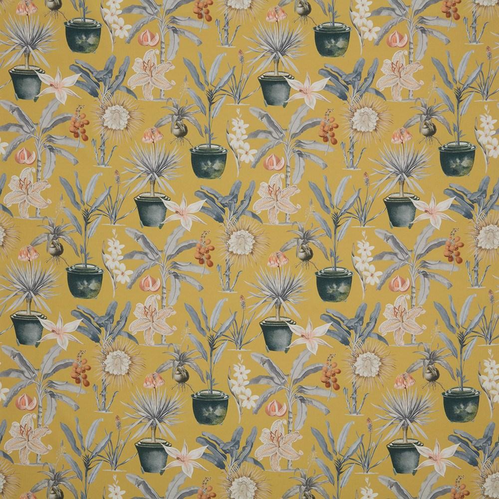 Ochre - Atrium By ILIV || Material World