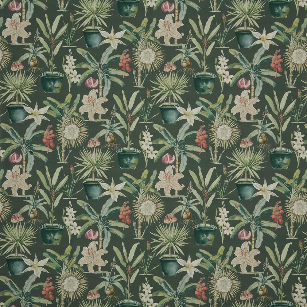 Pine - Atrium By ILIV || Material World