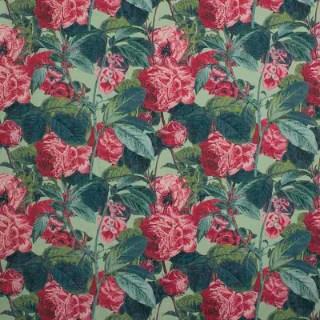 Magenta - Avesta By Warwick || Material World