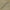 Linen - Batiste By Slender Morris || Material World