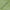 Sage - Batiste By Slender Morris || Material World