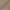 Taupe - Batiste By Slender Morris || Material World