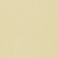 Putty - Bonanza By Zepel || Material World