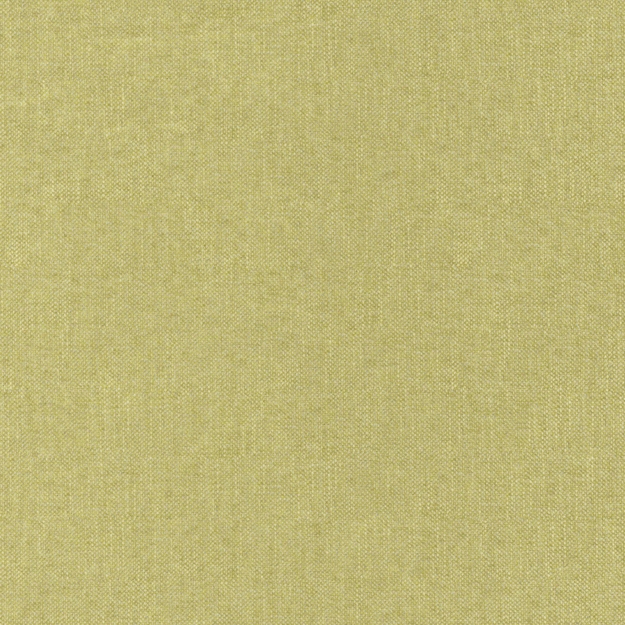 Lime - Bronco By Zepel || Material World