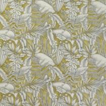 Kiwi - Caicos By ILIV || Material World