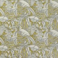 Kiwi - Caicos By ILIV || Material World