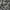 Pewter - Calais By Warwick || Material World