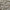 Taupe - Calais By Warwick || Material World