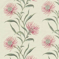 Fuchsia - Catherinae Embroidery By Sanderson || Material World