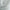 Dove - Chloe By Wortley || Material World