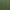 Fern - Cleo By Warwick || Material World