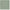 Eucalyptus - Davina By Linia || Material World
