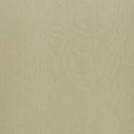 Almond - Dune By ILIV || Material World