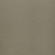 Putty - Dune By ILIV || Material World
