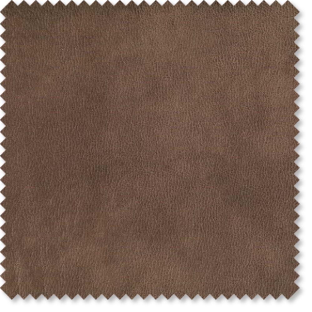 Donkey - Eastwood By Warwick || Material World
