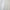 Ivory - Edgeworth By Maurice Kain || Material World