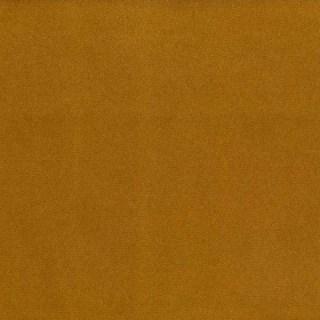  - Elton By Warwick || Material World