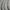 Monochrome - Enso By Mokum || Material World