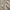 Sand - Enso By Mokum || Material World