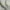 Willow - Enso By Mokum || Material World