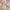 Duckegg - Essence By James Dunlop Textiles || Material World