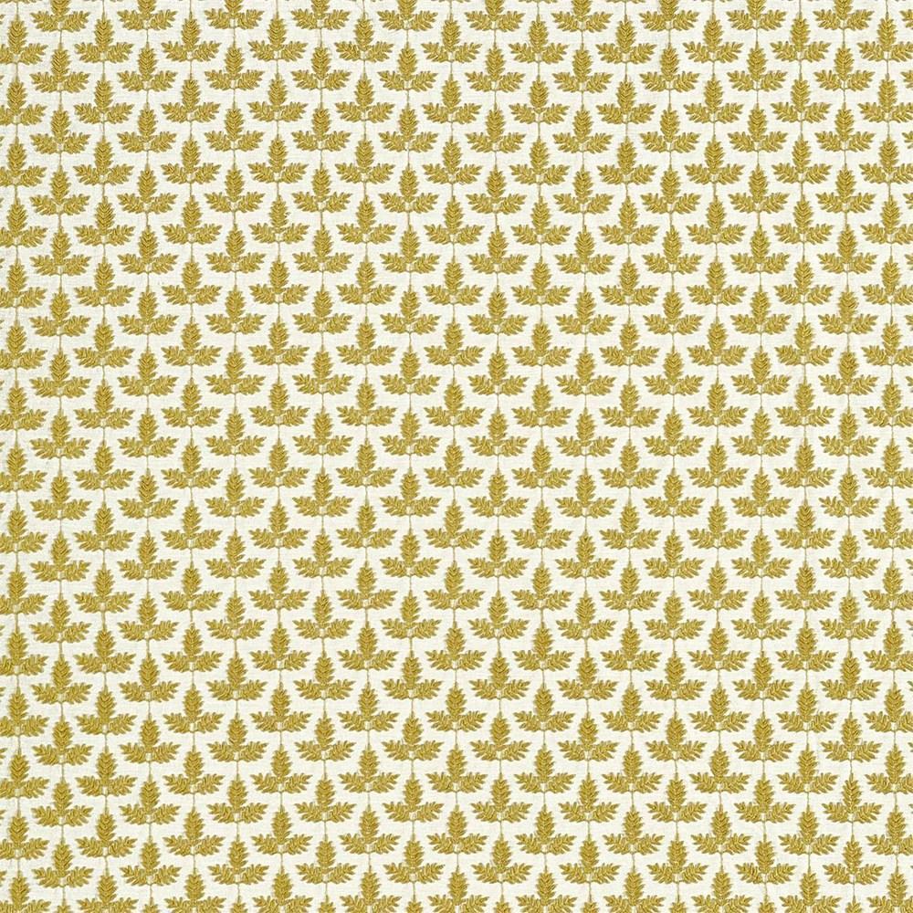 Olive - Felix By Sanderson || Material World