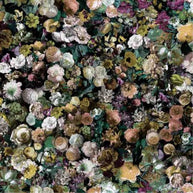  - Flowerbomb By Warwick || Material World