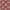 Maasai - Great Oak By ILIV || Material World