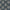 Midnight - Great Oak By ILIV || Material World