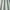 Eau De Nil - Harper By Slender Morris || Material World