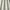 Feather - Harper By Slender Morris || Material World