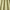 Fern - Harper By Slender Morris || Material World