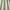 Sandstone - Harper By Slender Morris || Material World