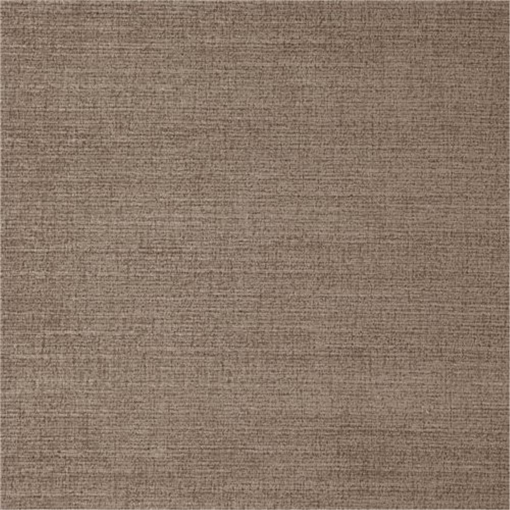 Kangaroo - Havana By Zepel || Material World