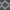 Midnight - Hermitage By Zepel || Material World