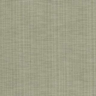 Driftwood - Icon By Warwick || Material World