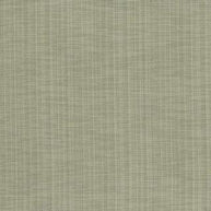 Driftwood - Icon By Warwick || Material World