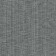 Pigeon - Icon By Warwick || Material World