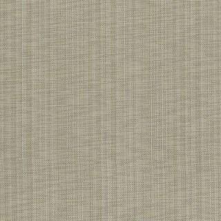 Shell - Icon By Warwick || Material World