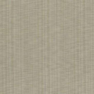 Shell - Icon By Warwick || Material World