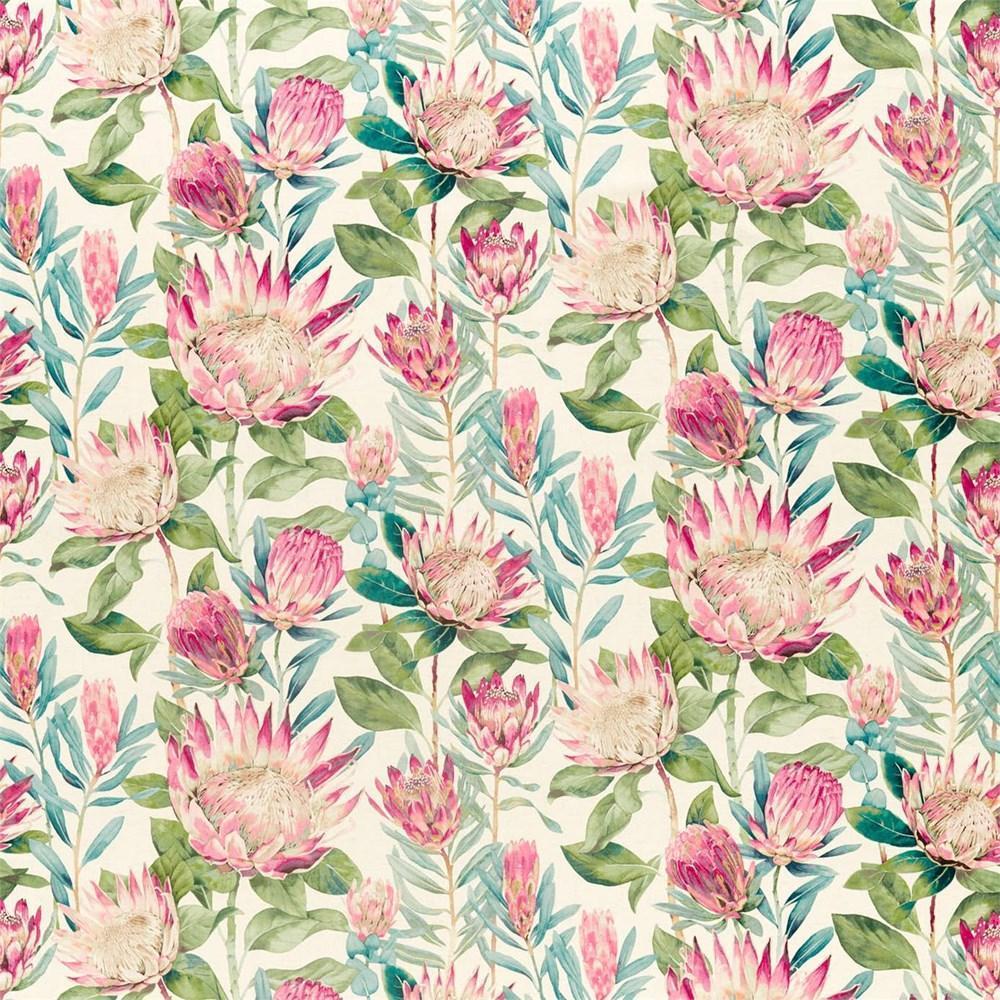 Rhodera - King Protea By Sanderson || Material World