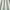 Jade - Leaf Vine By ILIV || Material World
