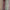 Light Brown - Lillypond Stripe By Slender Morris || Material World