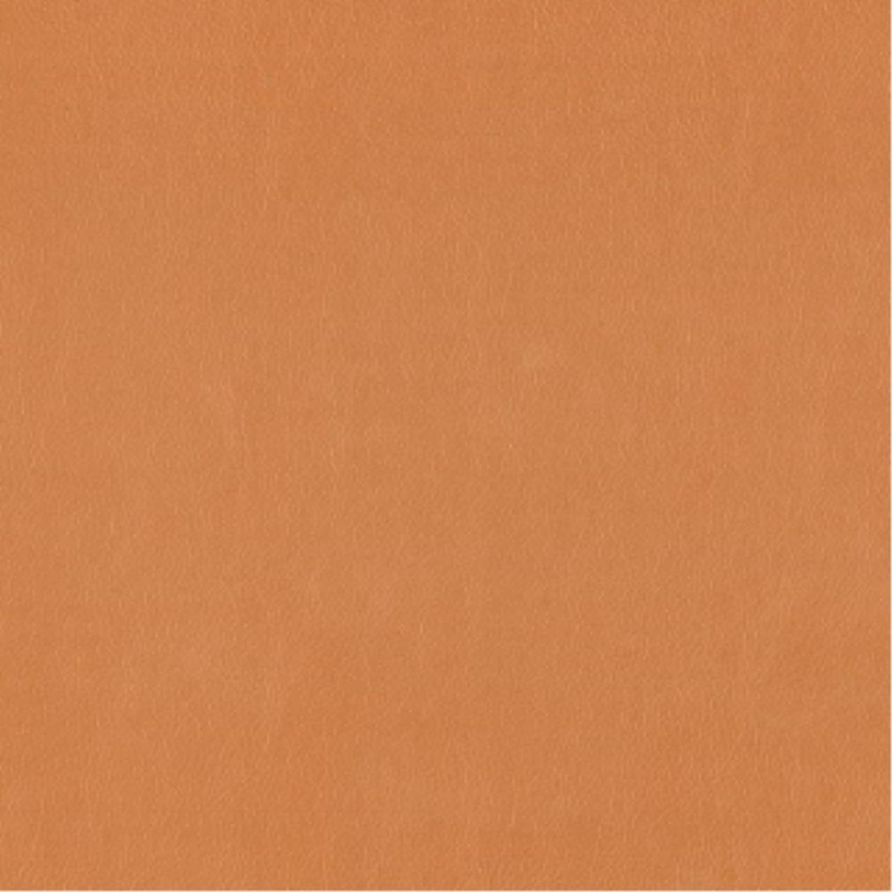 Camel - Lustrell Charisma By Warwick || Material World