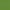 Kiwi - Lustrell Charisma By Warwick || Material World