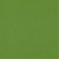 Kiwi - Lustrell Charisma By Warwick || Material World