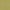 Lime - Lustrell Charisma By Warwick || Material World