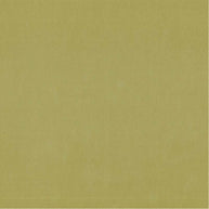 Lime - Lustrell Charisma By Warwick || Material World